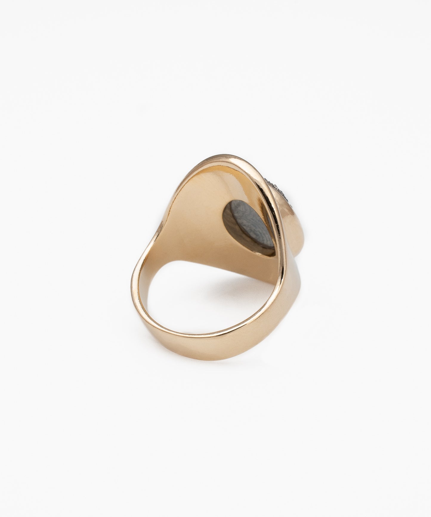 Anillo KATA Drusa Metalizada Titanio y Baño Oro 18k